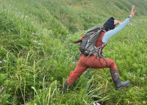 Jess is jumping over a gully in a field full of tall grass and flowers
