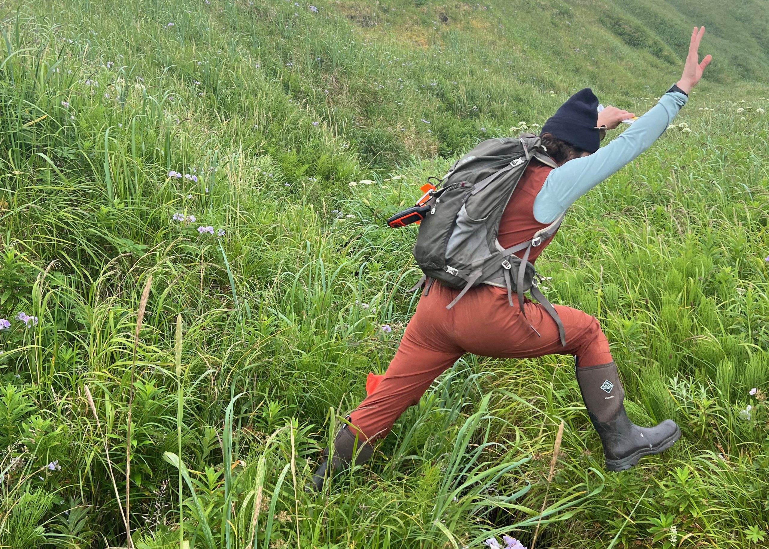 Jess is jumping over a gully in a field full of tall grass and flowers
