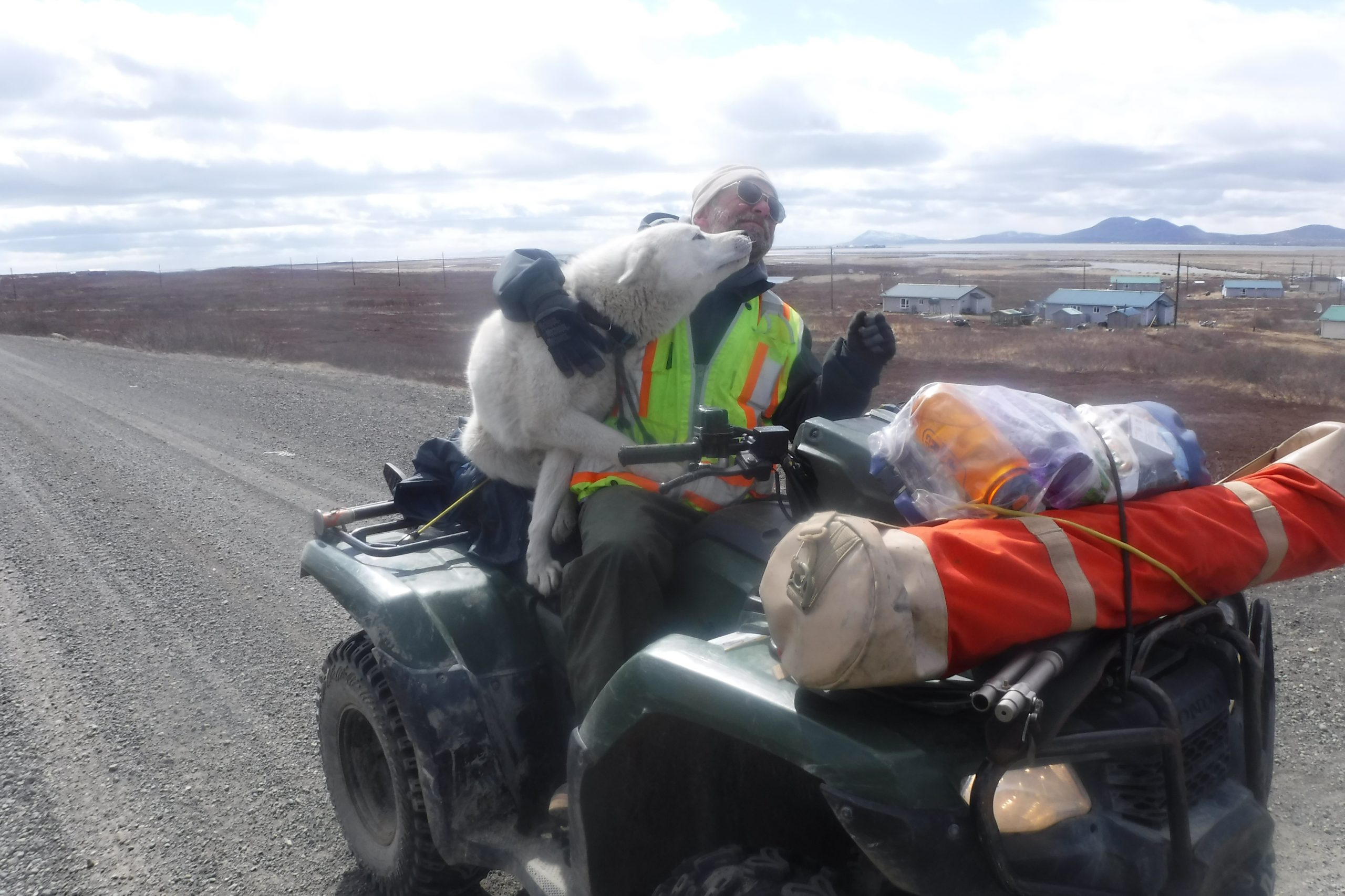 A fluffy white dog sits on an ATV with a person. The dog is not-so-subtly trying to steal a smooch from the person, the person is leaning away from the smooch. They are on a gravel road, some houses sit in a grassy field behind them and the sky is cloudy.