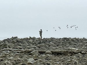 Someone stands looking to the left of the photo on the horizon of a rocky landscape with a grey sky. A flock of birds are flying behind a person in a way that makes it look like the person has wings.