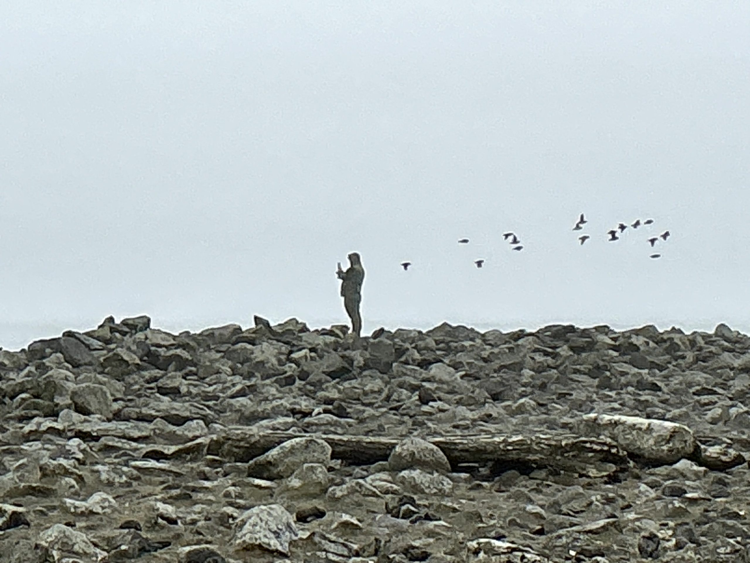 Someone stands looking to the left of the photo on the horizon of a rocky landscape with a grey sky. A flock of birds are flying behind a person in a way that makes it look like the person has wings.