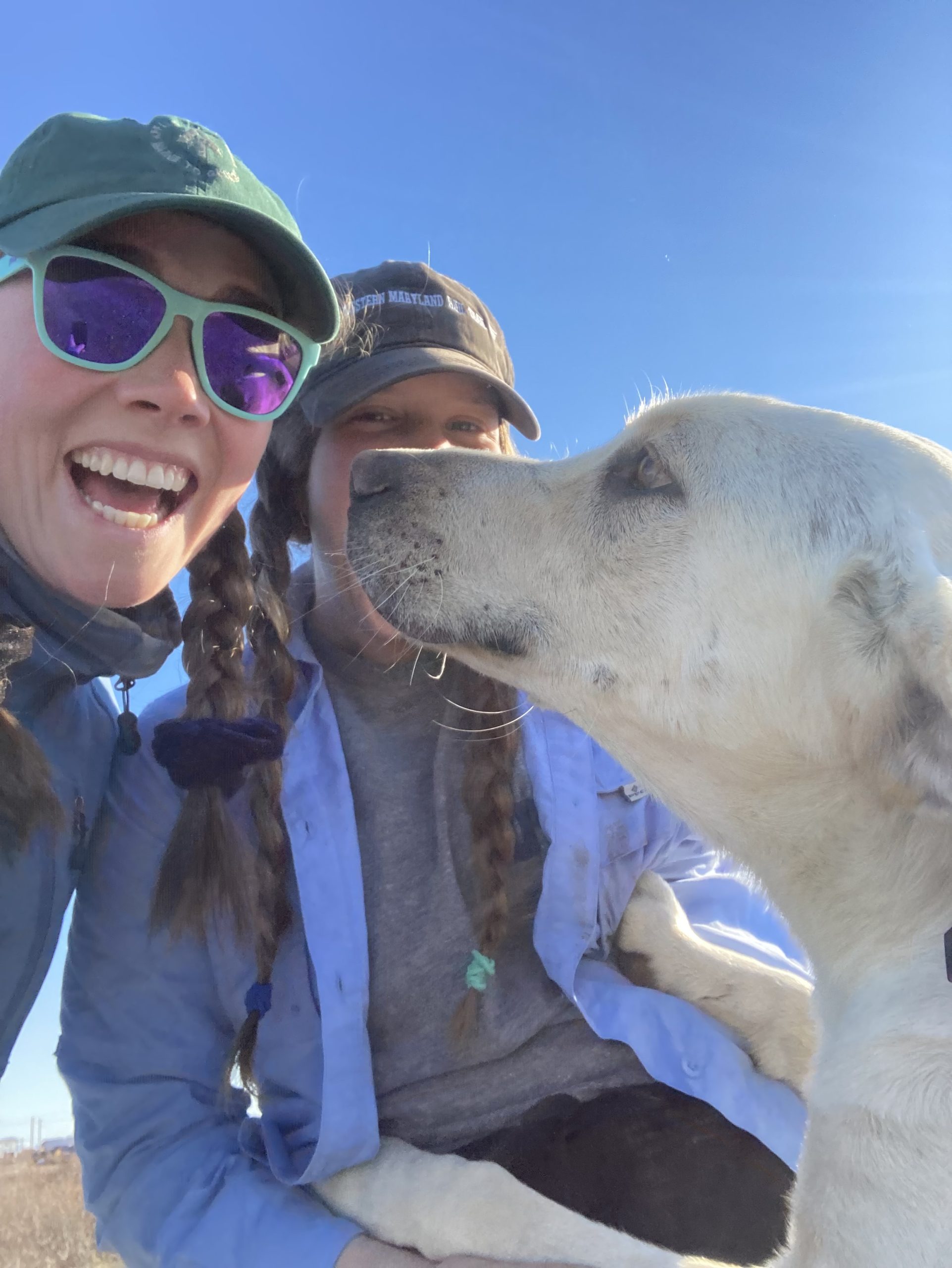 A dog looks at one of the people in the photo, it looks like it wants a smooch. The sky in the background is clear blue
