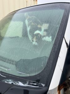 A calico cat shelters from a rainstorm inside a car. The cat is seen through the windshield on the dashboard of the car.