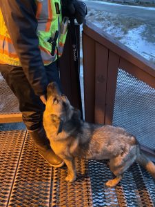 A dog stands on iron stairs recieving neck scritches from a geologist. The background has a little snow and a little grass. It seems to be evening.