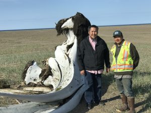 Two people stand next to a whale skull. They are standing in a partially dry grass field. The sky is clear blue.