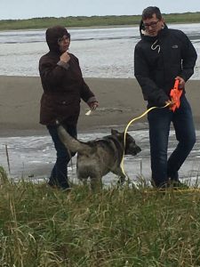 Two people stand in front of calm waters, one of them is holding measuring equipment. A dog walks between them