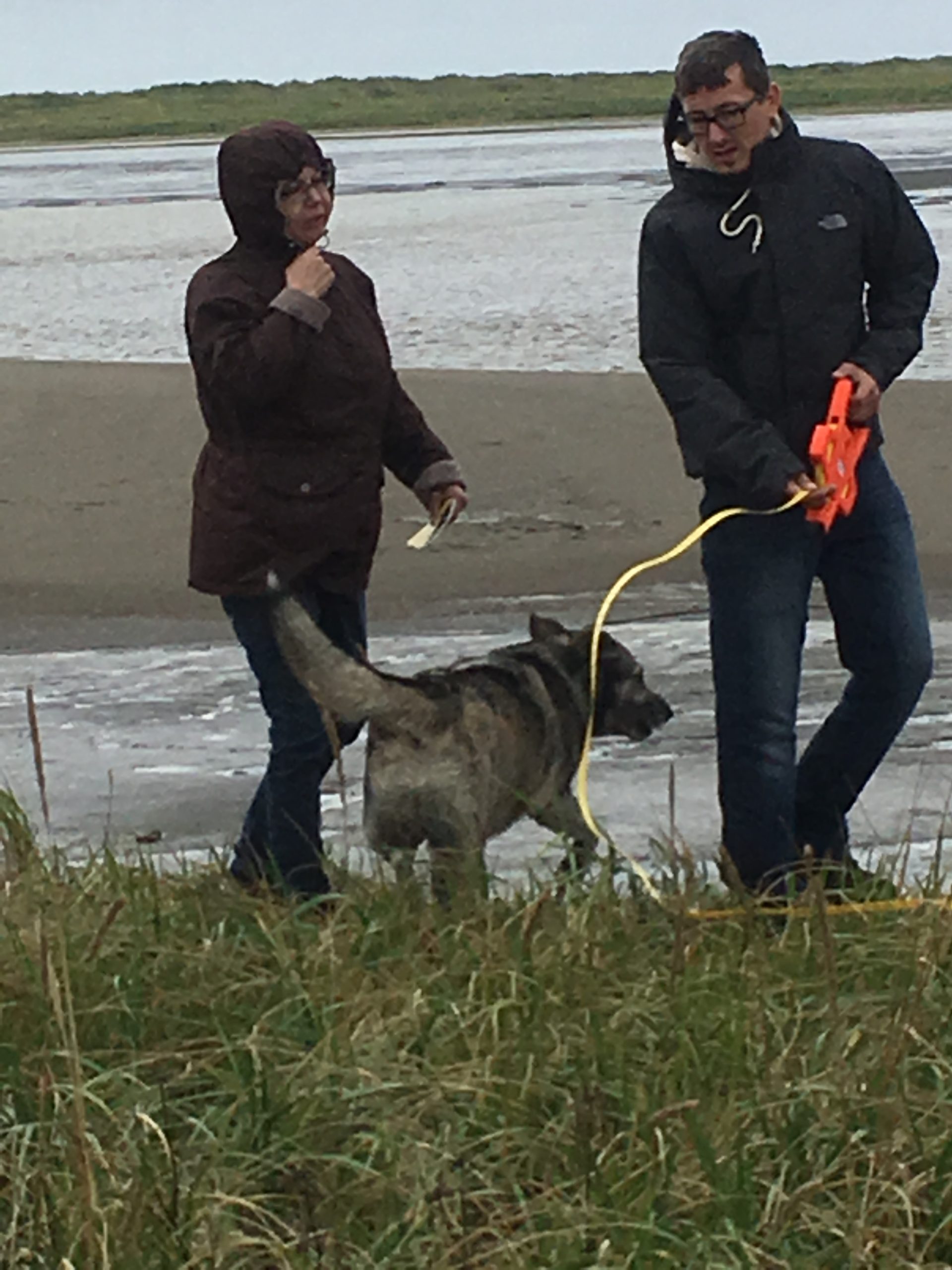 Two people stand in front of calm waters, one of them is holding measuring equipment. A dog walks between them