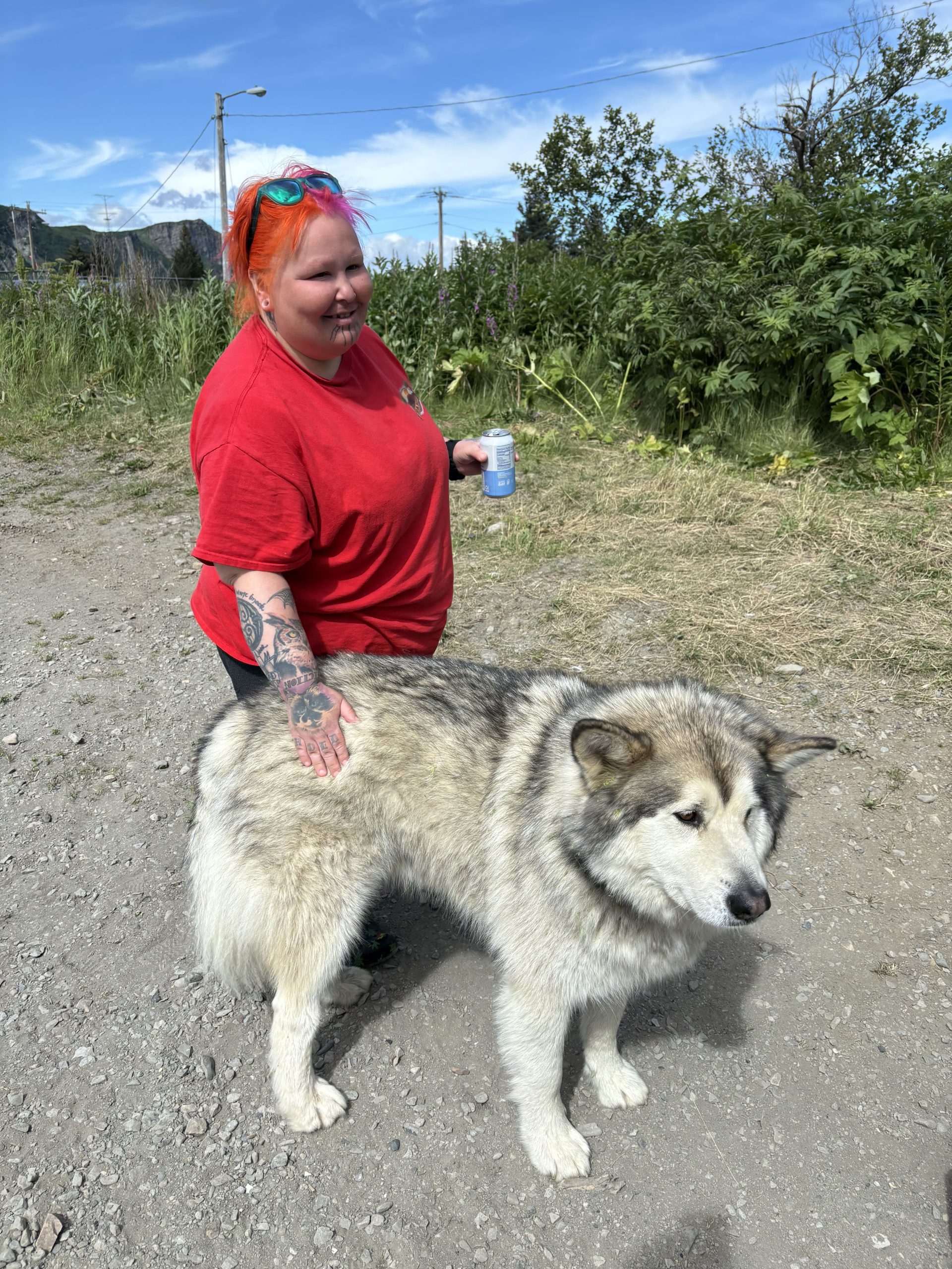 A malamute-looking dog is recieving but pats from a person with bright pink hair and holding a can. They are on a dirt road and the background shows some bushes and a blue, cloudy sky.