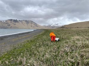 Someone in a bright orange outfit is facing away from the camera and looking at the ground. They are standing in a grassy field next to a shore and mountains are in the background with a bit of snow on them. The sky is cloudy.