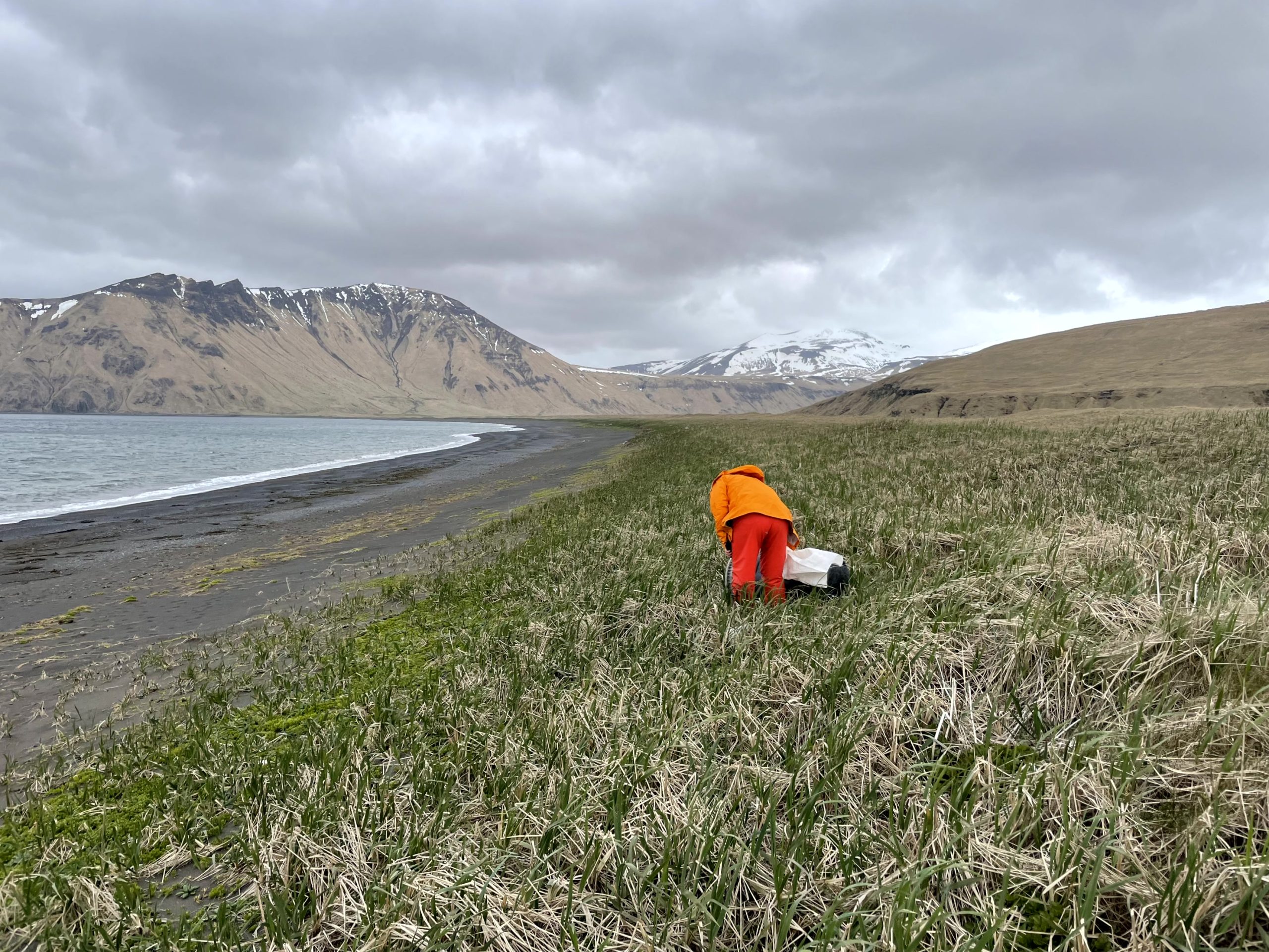 Someone in a bright orange outfit is facing away from the camera and looking at the ground. They are standing in a grassy field next to a shore and mountains are in the background with a bit of snow on them. The sky is cloudy.
