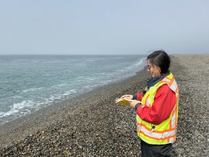 Someone stands on a gravelly beach. They are holding a notebook. The ocean is calmly lapping the beach. The sky is a muted blue.
