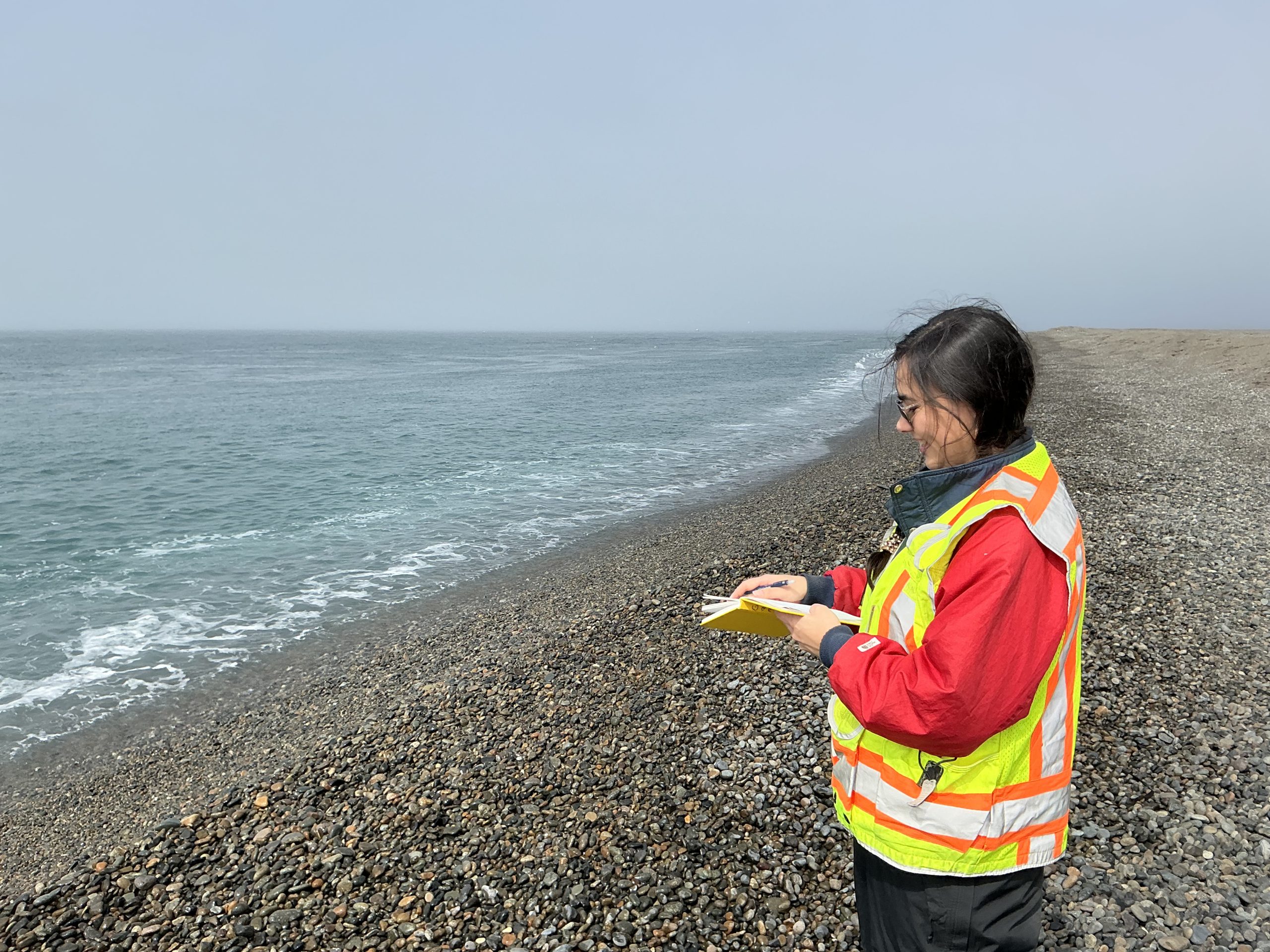 Someone stands on a gravelly beach. They are holding a notebook. The ocean is calmly lapping the beach. The sky is a muted blue.