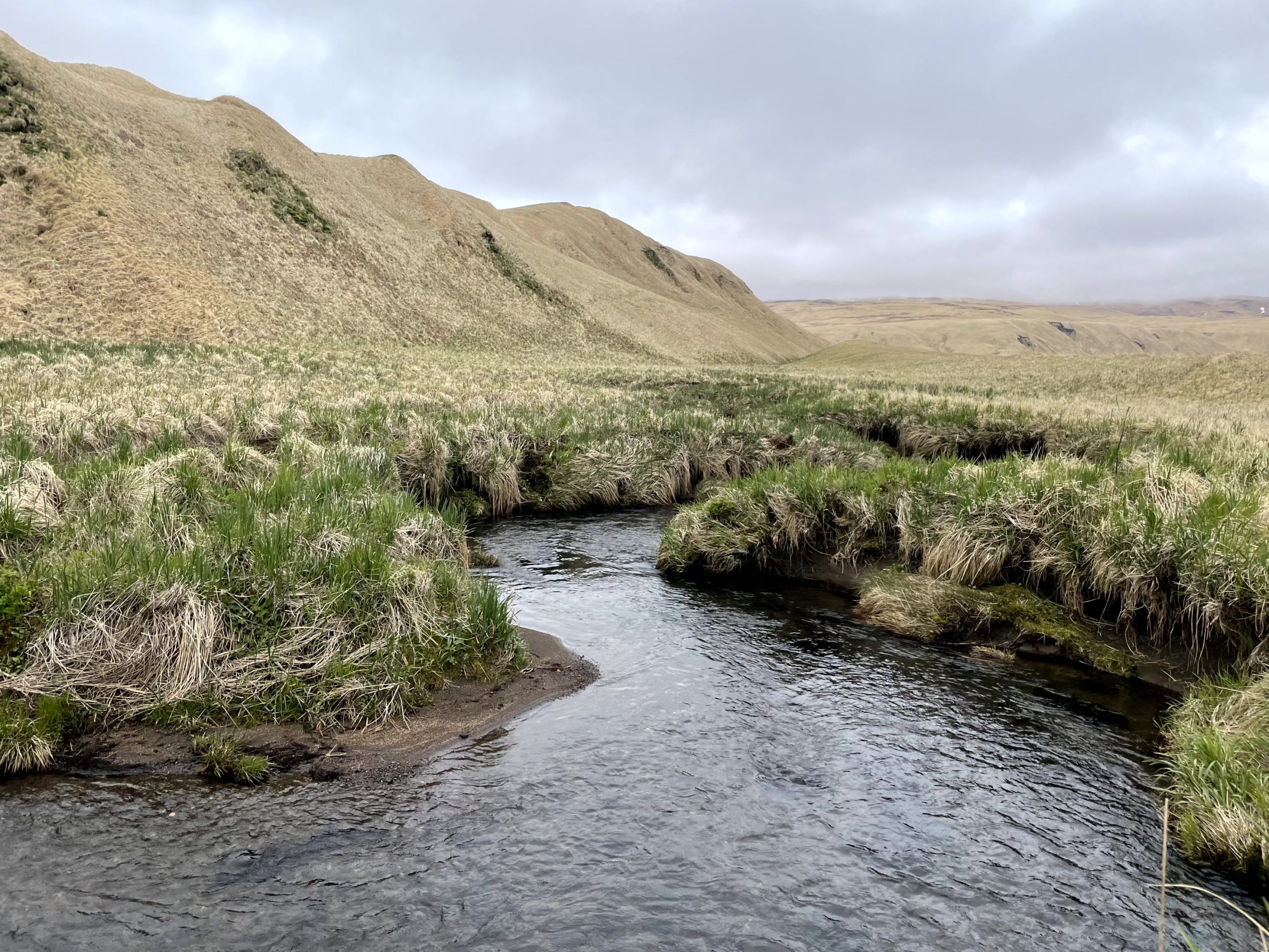 A creek winds through a grassy hilly field, the sky is overcast