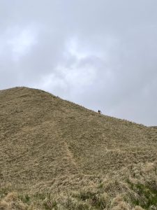 A tall grassy hill with a person positioned halfway up, they appear very small in this photo because they are very high up. The sky is overcast.