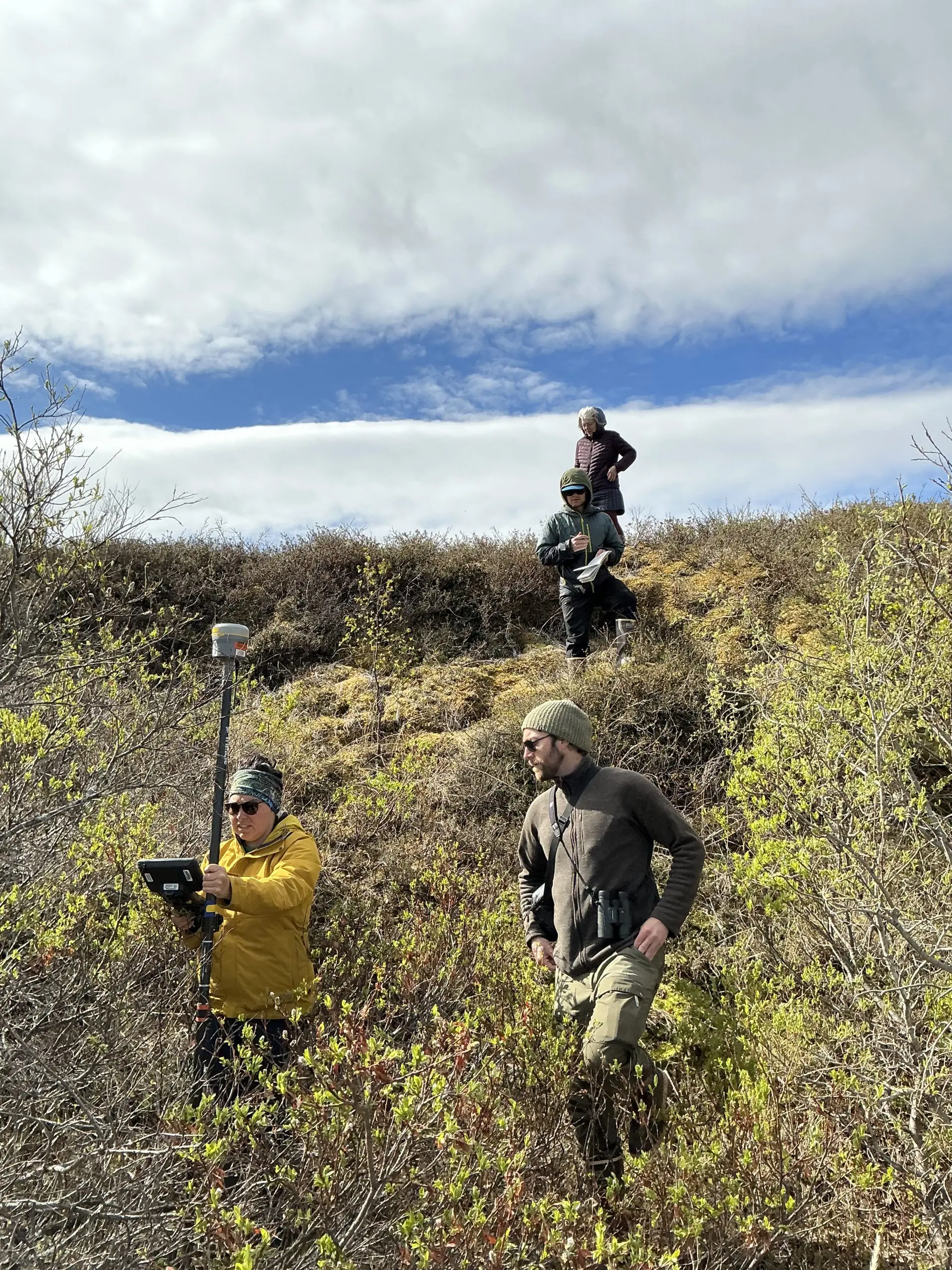 Four people stand in frame. One of them is holding the Trimble instrument. Two people are standing on the bottom of a slope in some brush. The other two are standing towards the top of the slope, one of them is holding a field notebook. The sky is partially cloudy.