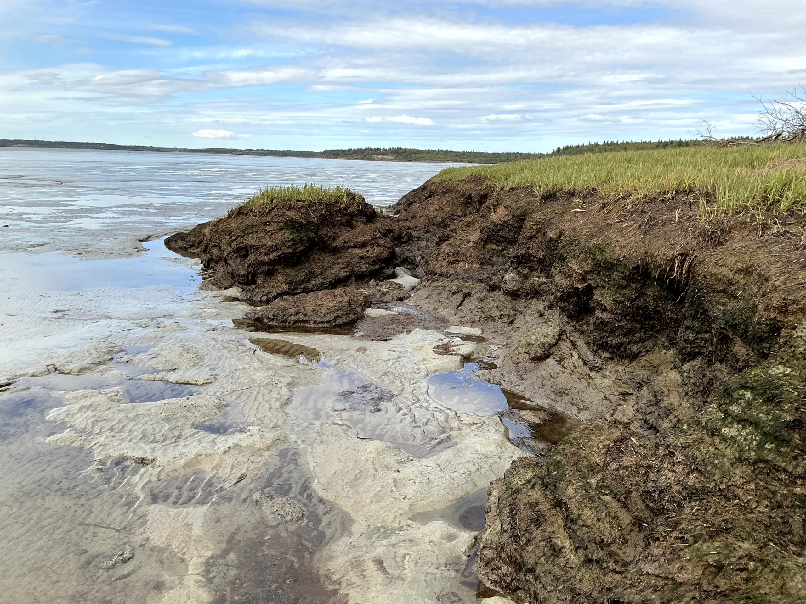 A small bluff with green grass on its top with a large chunk falling into a large mudflat. The sky is partially cloudy.