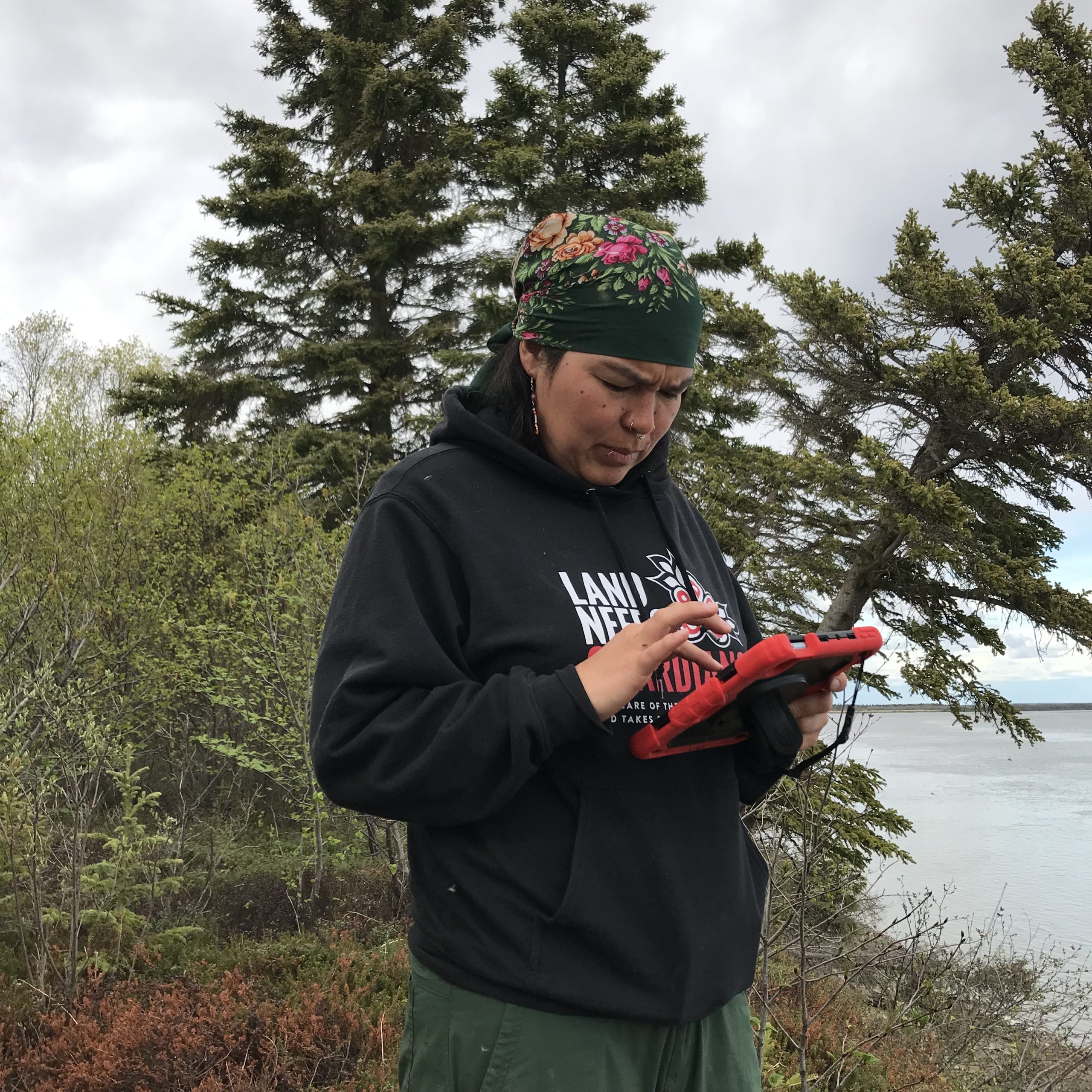 Someone stands holding the field ipad. They are standing in front of some tall brush. There are some evergreen trees leaning down a bluff. Calm water can be seen in the distance. The sky is overcast.