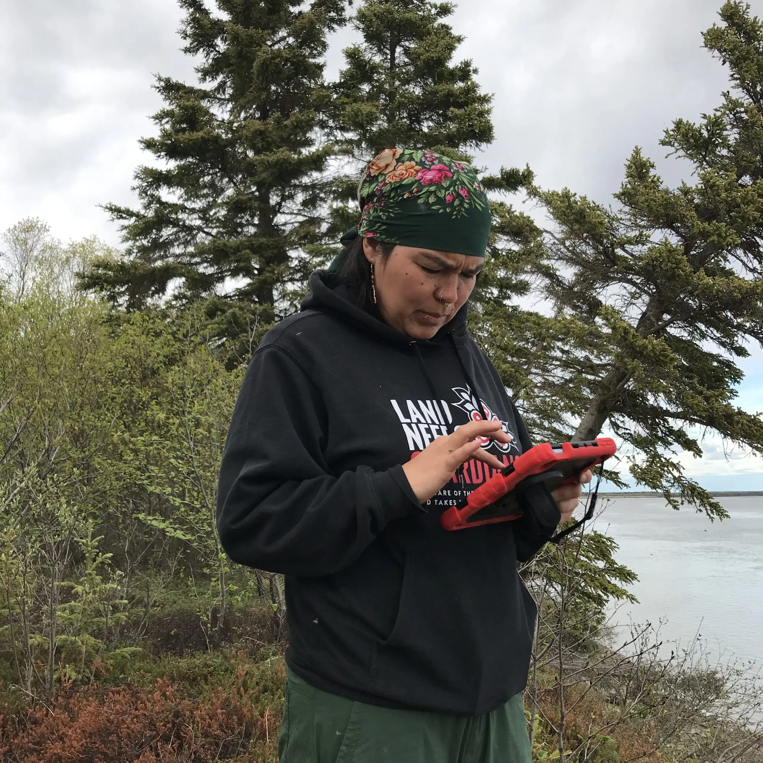 Someone stands holding the field ipad. They are standing in front of some tall brush. There are some evergreen trees leaning down a bluff. Calm water can be seen in the distance. The sky is overcast.