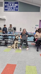 A husky is sitting next to someone sitting on a lunch table and using a laptop. There is someone next to them sitting at a different lunch table using their laptop. They appear to be in a school cafeteria. 