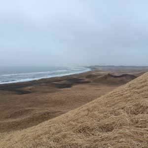 A hilly field covered in dead grass. There is a turbulent ocean off to the left of the image. The sky is foggy and overcast. 