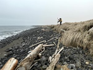 Chris Tran and Harper Baldwin are standing on a bluff covered in dried grass. Harper is holding the Trimble instrument. Beneath them is a rocky beach with bits of driftwood scattered around. The sky is overcast.