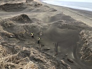Two people stand at the base of a hill. One of them is holding a Trimble instrument. They are surrounded by rolling hills of sand and dried grass. There is a beach nearby.